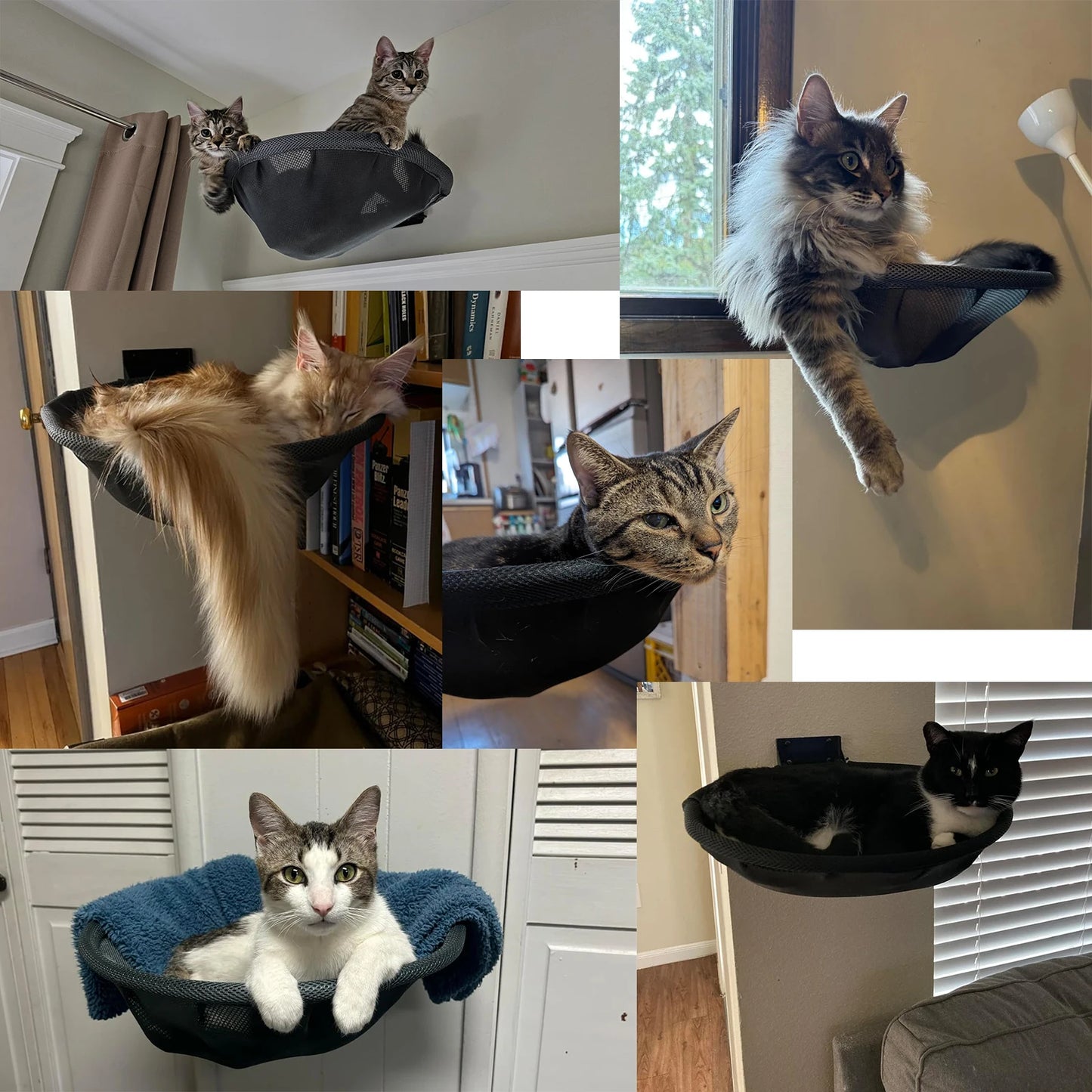 Cozy Cat Hammock Bed